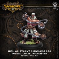 high allegiant amon ad-raza protectorate warcaster